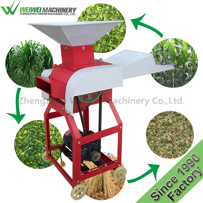 9ZP-0.4V Square Radish Chopper Cattle Feed Machine