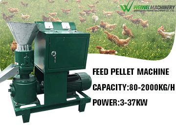 Weiwei animal feed pellet 60-80kg unique style prawn feed pellet mill machine