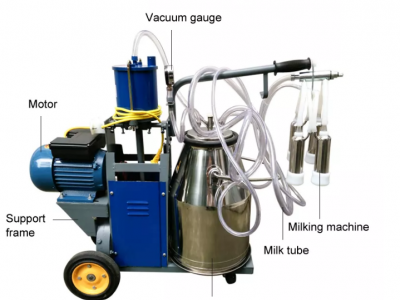 WEIWEI stainless steel double barrel portable cow milking machine