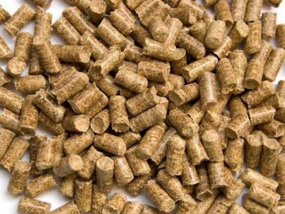 The importance of sheep and cattle feed formulation