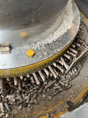 complete feed pellet plant