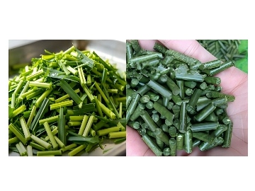 Why Fresh Grass Won't Pelletize: Raw Material Moisture Requirements for Feed Pellet Machines and the Drying Step You Need First