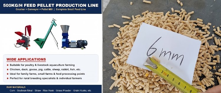 Medium feed pellet production line