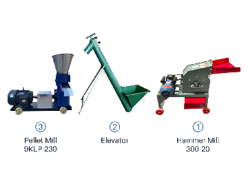 WEIWEI 9KLP-230 200kg/h Feed Pellet Line | Hammer Mill + Elevator + Pellet Mill
