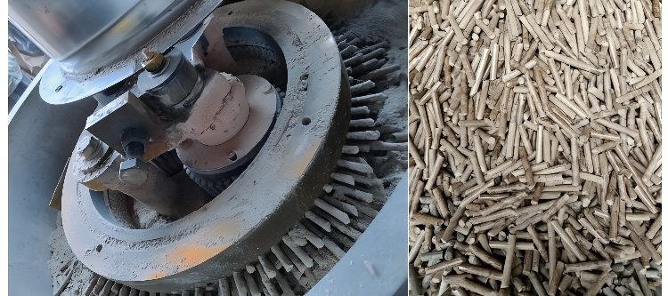 pellet press die