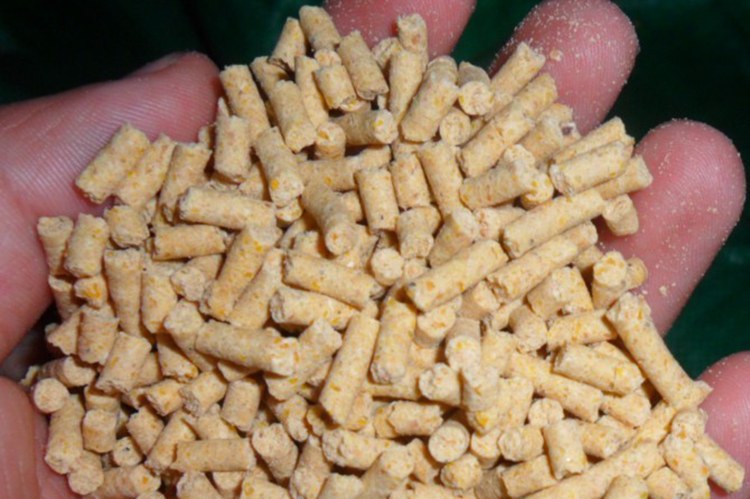 animal feed pellet manufacturing line