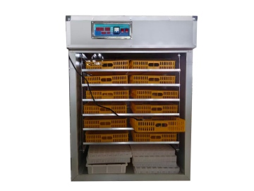 100 Units of 2112-Egg Incubators Bound for Nigeria: What a Full Hatchery Order Looks Like at Weiwei Machinery
