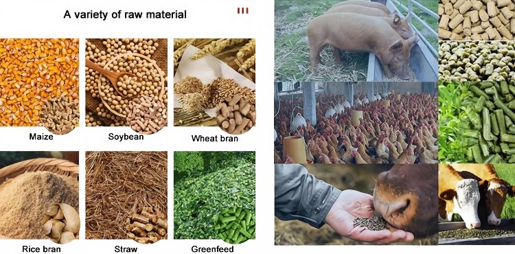 best home feed pellet machine