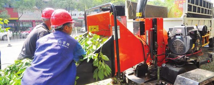 forestry branch chipping equipment